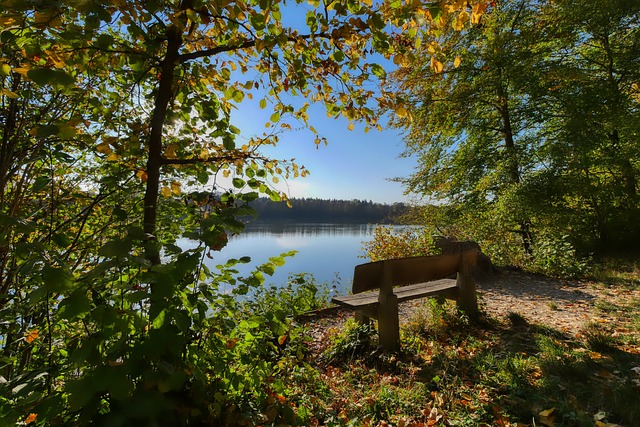 下致命机会 下致命机会