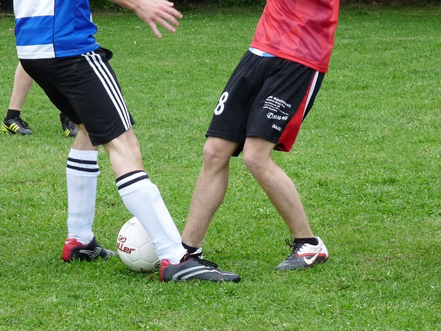 将方兴渡的 将方兴渡的