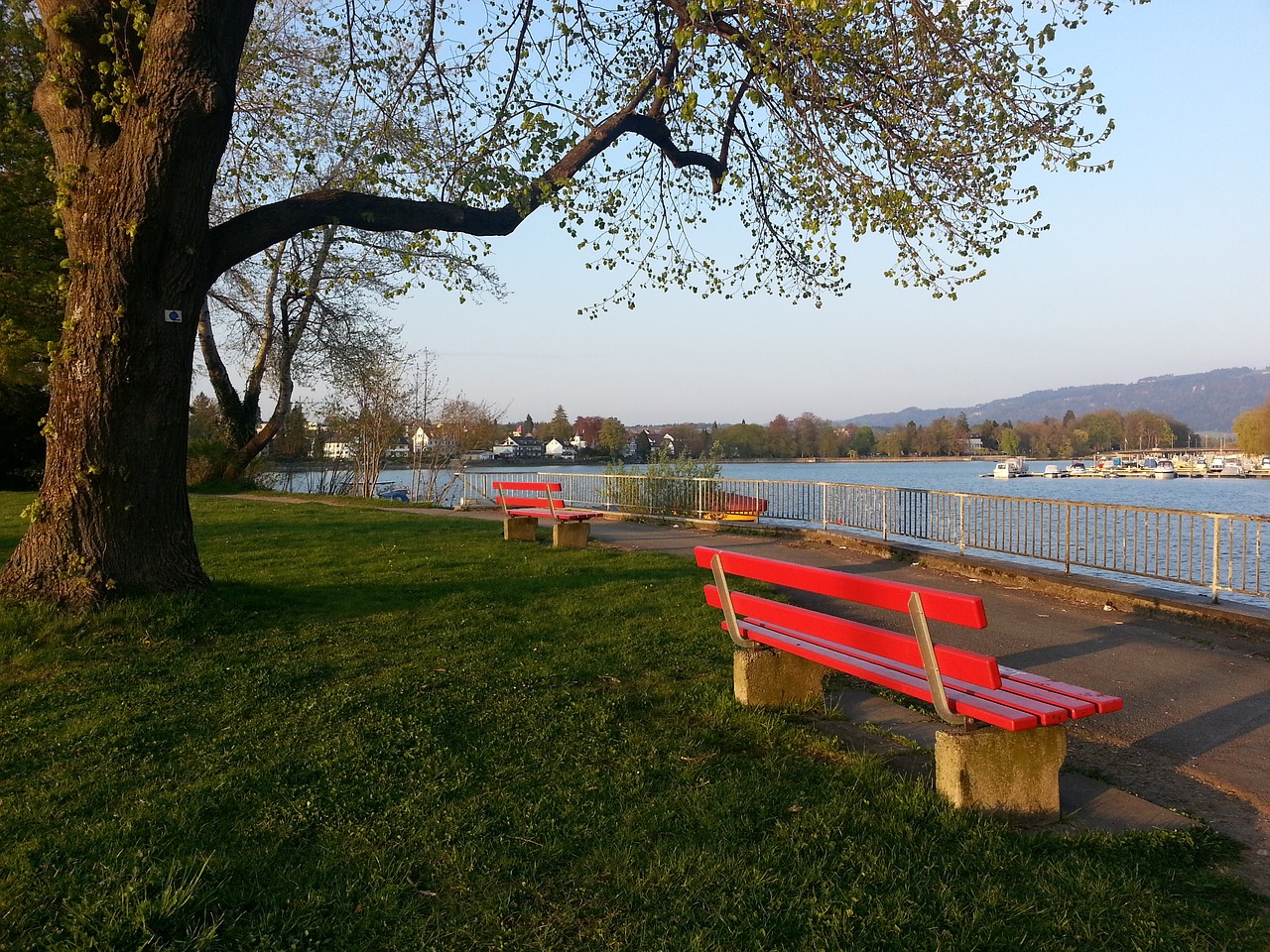 新疆女篮此 新疆女篮此