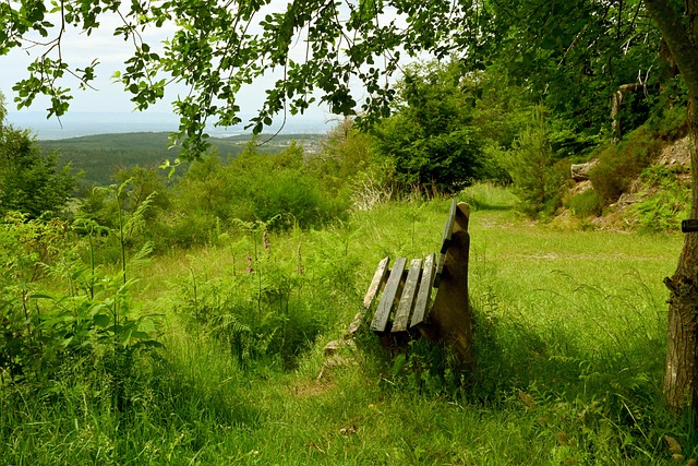 利物浦的球 利物浦的球
